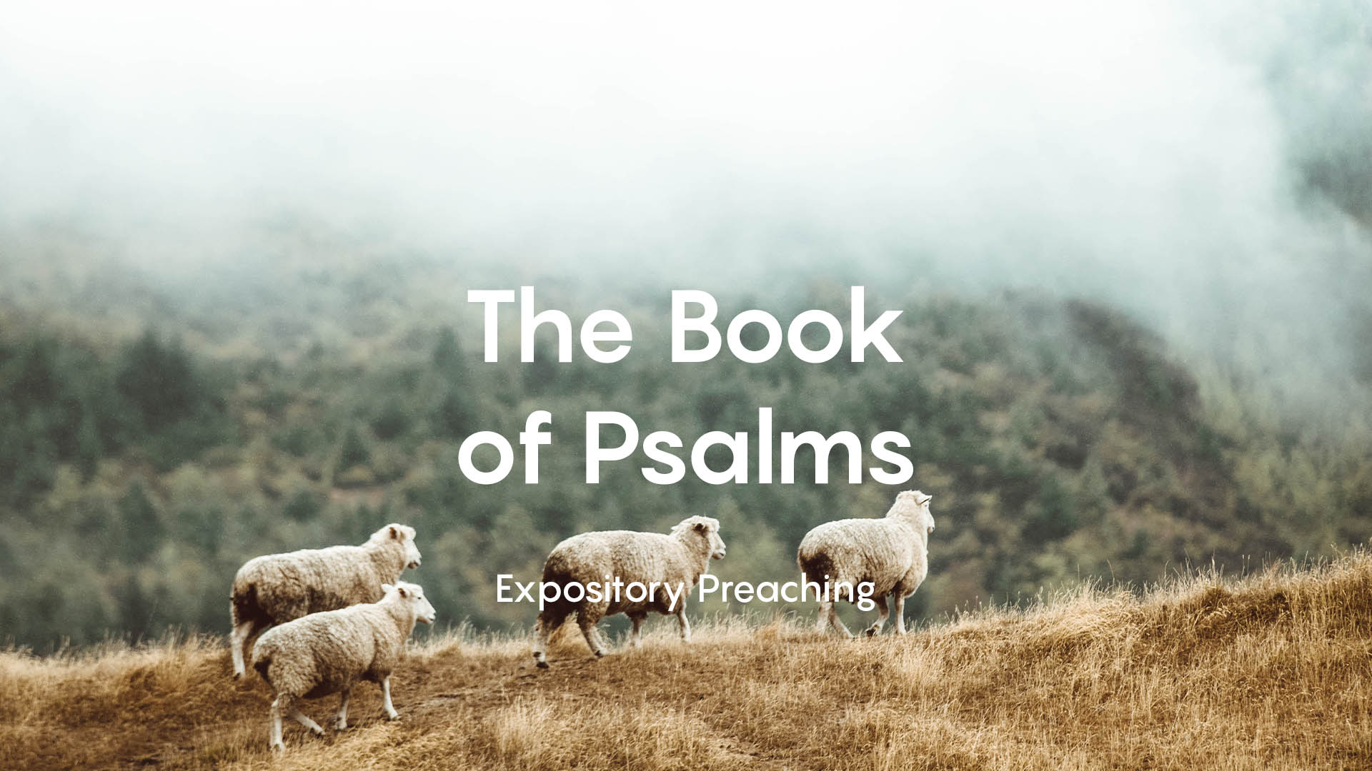 Who is on the Lord’s Side