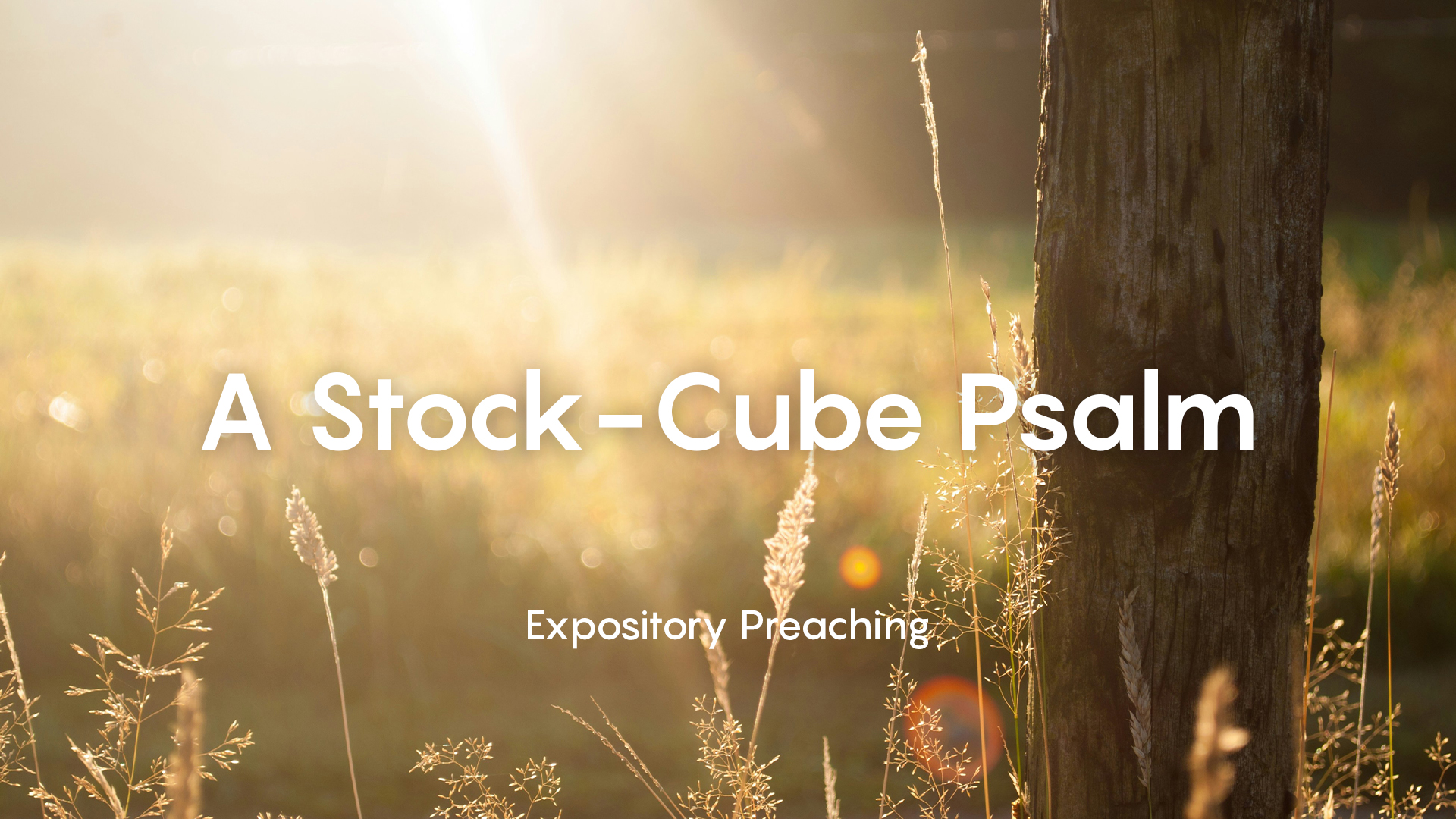 A Stock-Cube Psalm